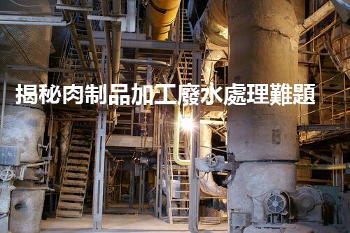 揭秘肉制品加工廢水處理難題！高效低耗的秘訣究竟是什么？